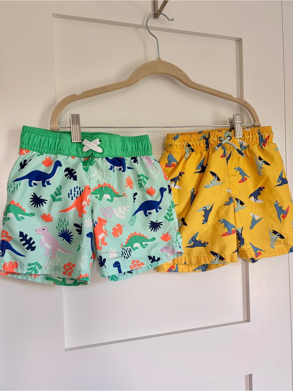 Cat & Jack 4T Dino swim trunks bundle